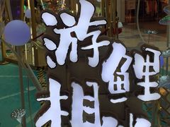 -鹏欣水游城