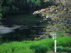 -上海共青森林公园