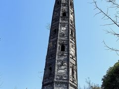 -上海佘山国家森林公园天马山园