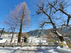-九华山风景区