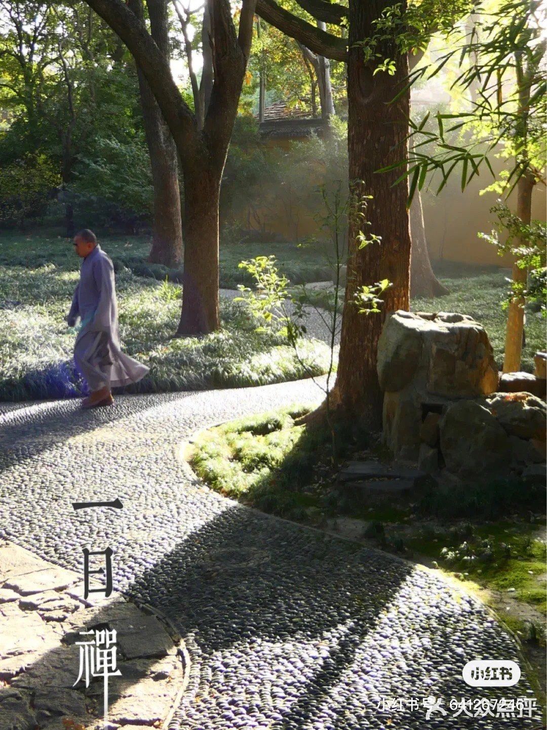 苏州｜入夏需静心，来西园寺抄经吃素禅修