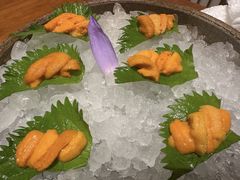 -月龍吟(朝龙汇店)