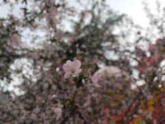 -洛阳市隋唐城遗址植物园