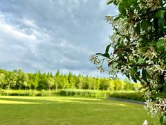 -养云安缦吧THE BAR