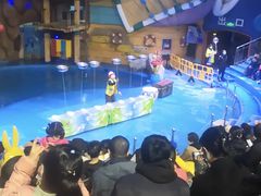 -烟台海昌鲸鲨海洋公园