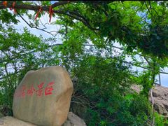 -紫金山山顶公园