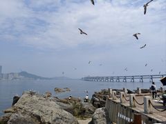 -黑石礁公园