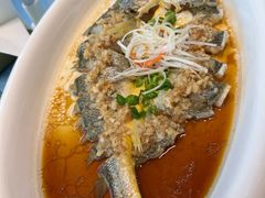 -大连湾旭日·家宴·海肠捞饭(马栏广场店)