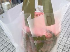 -珍妮曲奇聪明小熊(尖沙咀店)