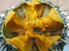 -海胆小馆(东北水饺·春柳店)