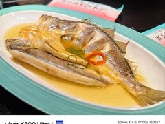 花雕醉黄鱼-寻宝记绍兴菜(鲁迅路店)