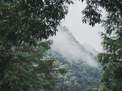 -藏龙百瀑风景区
