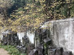 -无锡梅园公园
