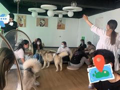 -Husky Go! 哈士奇体验馆·宠物咖啡厅狗咖