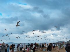-那香海钻石沙滩浴场