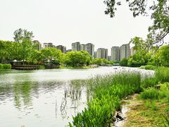 -新江湾城公园