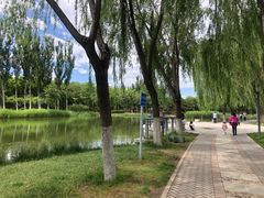 -大兴滨河森林公园