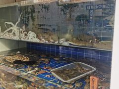 -东海章鱼馆(恒瑞街店)