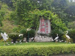 -广州白江湖森林公园