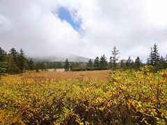 -凤凰山国家森林公园