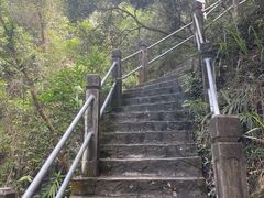 -东莞观音山旅游风景区