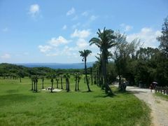 android_upload_pic-鹅銮鼻公园