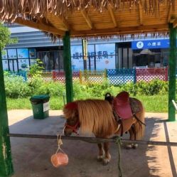 -萌宠亲子动物乐园(槐房万达店)