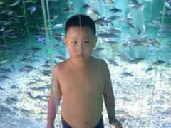 -秦皇岛乐岛海洋王国