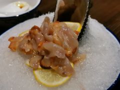 赤贝刺身-兰边碗(鼓楼店)