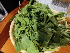 豌豆尖-廣順興(兴华路店)
