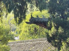 -报恩寺(平武县)