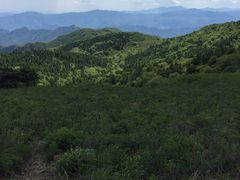 -妙峰山风景名胜区