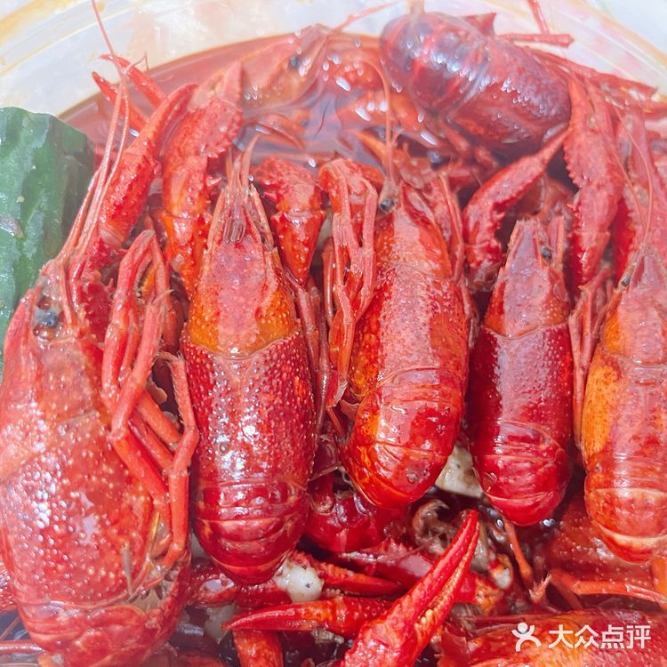 [K歌][K歌]吃虾🦐吃虾