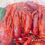 [K歌][K歌]吃虾🦐吃虾