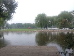 iphone_upload_pic-廊坊文化艺术中心