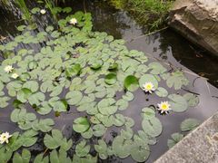 -永隆圣马可国际家居广场(江东中路店)
