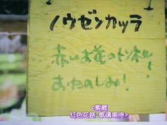 -学习谷日语培训日本留学·多语种外语教学(海淀人大分部)