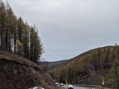 -塞罕坝国家级自然保护区