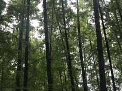 -南京航空航天大学(明故宫校区)
