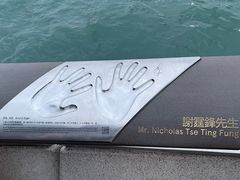 -星光大道