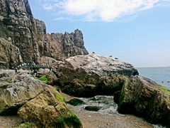 -海驴岛(荣成市)