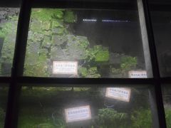 景点-东关历史文化旅游区-东门遗址