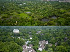 -西溪国家湿地公园