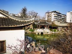 -芥子园