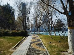 -天鹅湖体育公园