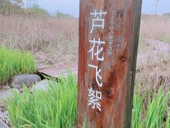 -长田漾湿地公园