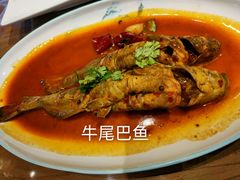 -胖姐渔村(中源大道店)