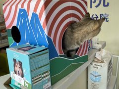 -宠颐生宠物医院·犬猫全科·皮肤科(商业街店)