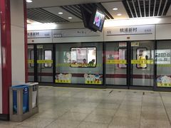 -桃浦新村(地铁站)