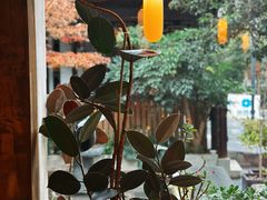 -知亘茶食